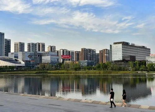 數字預見未來 成都科技創新10大硬核猜想