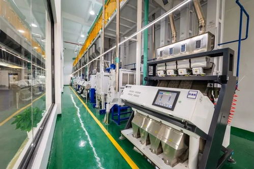 觀光工廠 vr體驗(yàn)室 稻田尋寶,金山 90后 用科技打造 糧 辰新美景